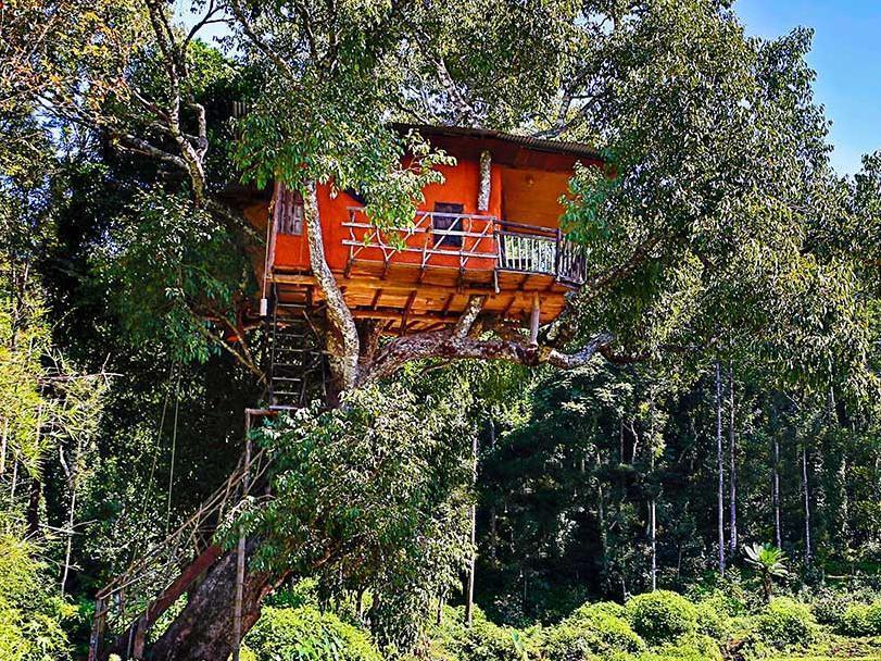 Elephant Valley Eco Farm Hotel Kodaikanal Ngoại thất bức ảnh
